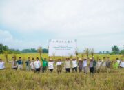 Bupati Batu Bara Dorong Ketahanan Pangan, Panen Raya Lumbung Pangan Baznas jadi Bukti Sinergi Pemerintah dan Petani