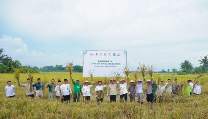 Bupati Batu Bara Dorong Ketahanan Pangan, Panen Raya Lumbung Pangan Baznas jadi Bukti Sinergi Pemerintah dan Petani