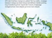 INALUM Perkuat Pelestarian Pesisir, Tanam 15.000 Bibit Mangrove Demi Masa Depan Berkelanjutan