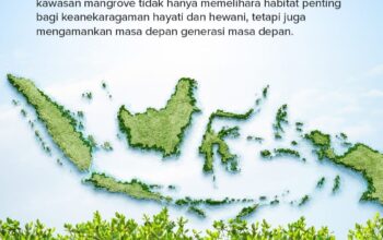 INALUM Perkuat Pelestarian Pesisir, Tanam 15.000 Bibit Mangrove Demi Masa Depan Berkelanjutan