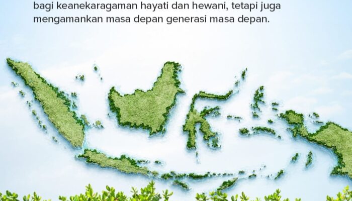 INALUM Perkuat Pelestarian Pesisir, Tanam 15.000 Bibit Mangrove Demi Masa Depan Berkelanjutan