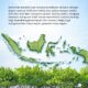 INALUM Perkuat Pelestarian Pesisir, Tanam 15.000 Bibit Mangrove Demi Masa Depan Berkelanjutan
