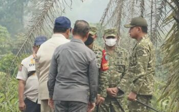 Presiden Prabowo Tinjau Karhutla di Kalbar, Panglima TNI Tegaskan Kesiapan Personel
