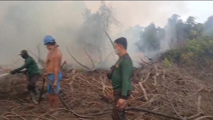 Karhutla di Sapiri Estate Mentaya Hulu Sulit Dipadamkan, Api Terbakar Dua Minggu